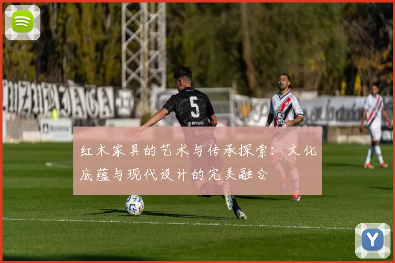 红木家具的艺术与传承探索：文化底蕴与现代设计的完美融合
