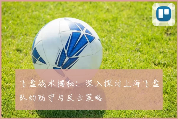 飞盘战术揭秘：深入探讨上海飞盘队的防守与反击策略