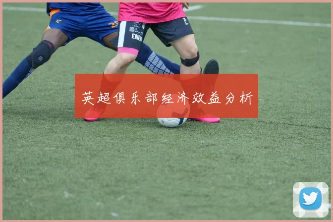 英超俱乐部经济效益分析
