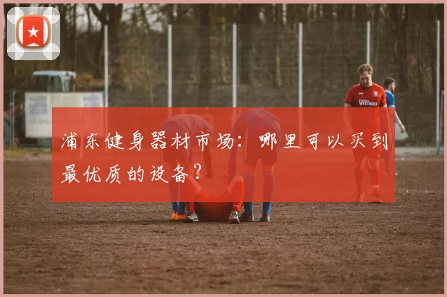浦东健身器材市场：哪里可以买到最优质的设备？