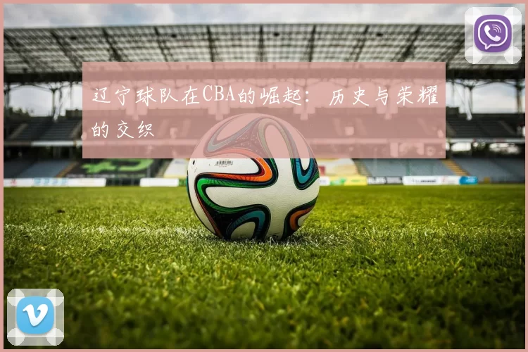 辽宁球队在CBA的崛起：历史与荣耀的交织