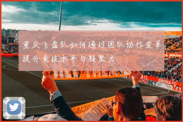 重庆飞盘队如何通过团队协作变革提升竞技水平与凝聚力