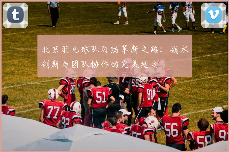 北京羽毛球队盯防革新之路：战术创新与团队协作的完美结合