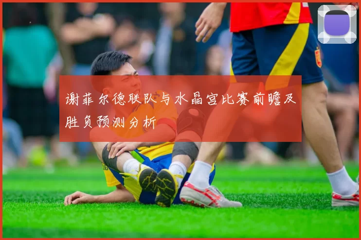 谢菲尔德联队与水晶宫比赛前瞻及胜负预测分析