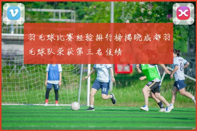 羽毛球比赛经验排行榜揭晓成都羽毛球队荣获第三名佳绩